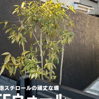 画像388