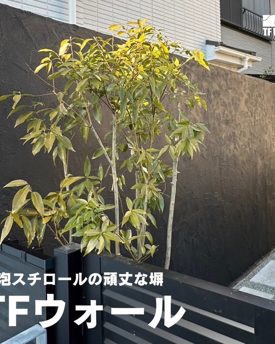 画像388
